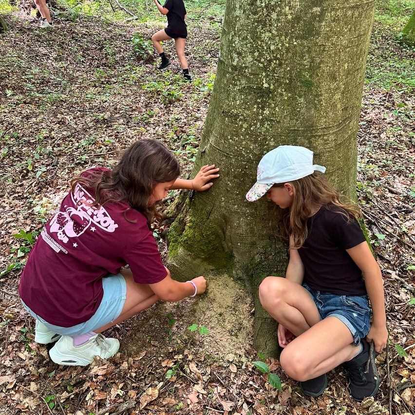 Two girls in a forest, one examining a tree trunk while the other leans against it, both wearing casual summer clothes. A third person stands in the background.