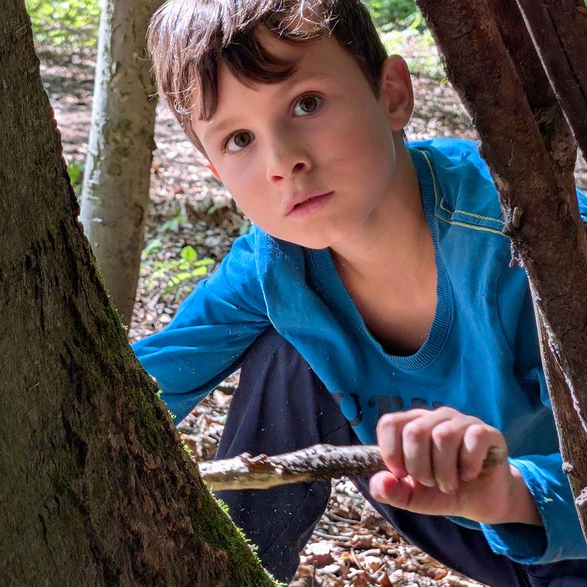 A young boy in a blue shirt is holding a stick and peeking out from behind a tree in a forest.