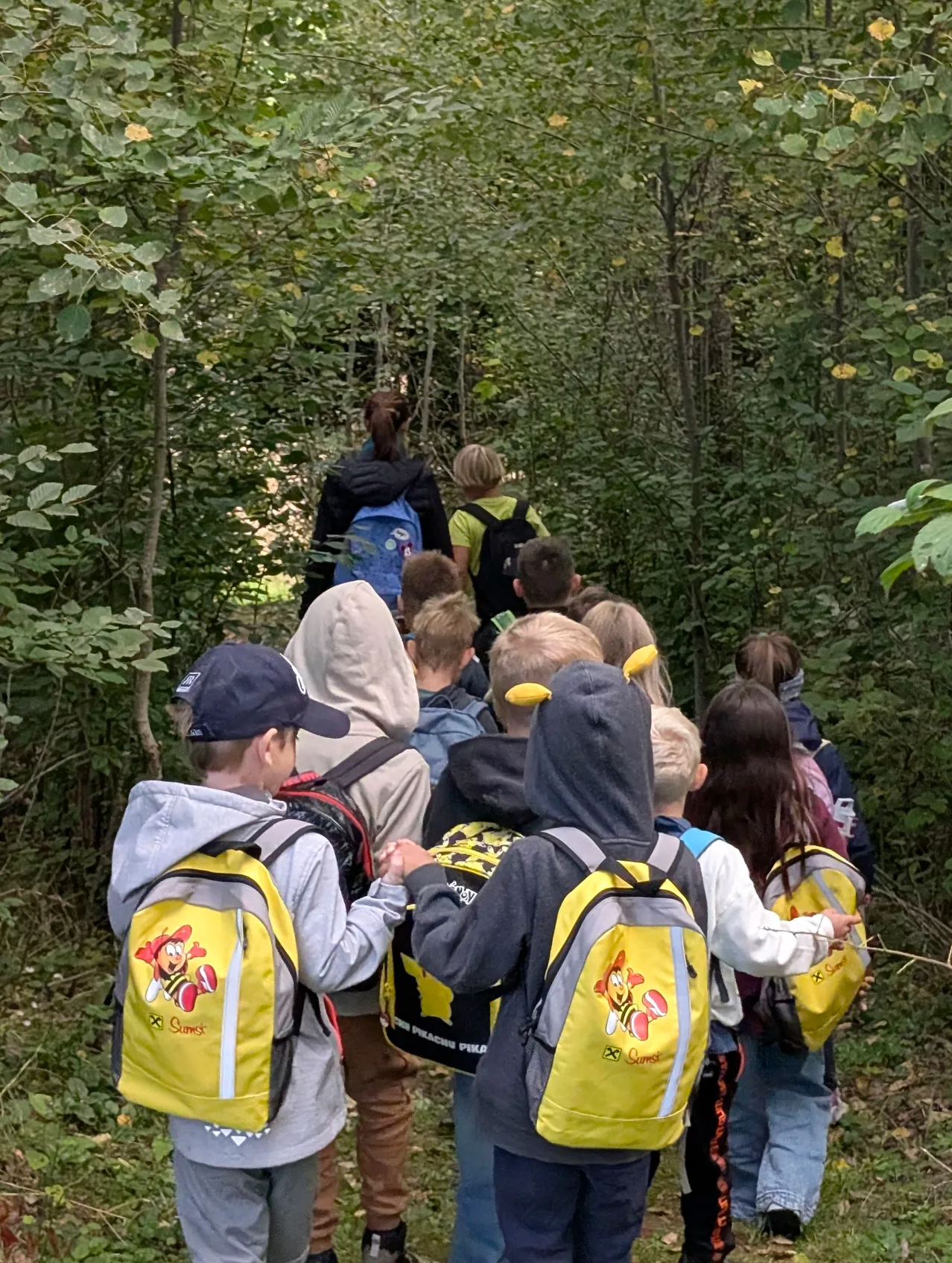 Eine Gruppe von Kindern mit Rucksäcken geht durch einen bewaldeten Bereich. Einige haben gelbe und schwarze Rucksäcke.