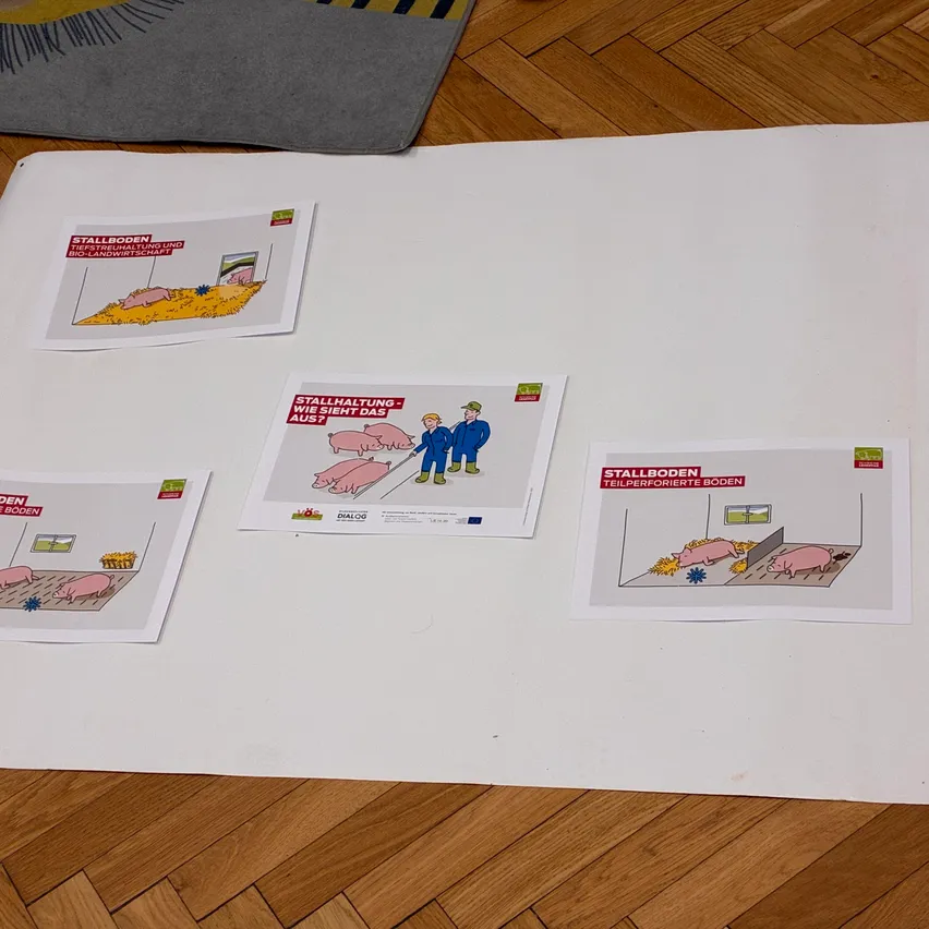 Ein weißes Blatt Papier liegt auf einem Holzboden mit fünf Plakaten darauf. Die Plakate handeln von Schweinen und ihren Lebensbedingungen.