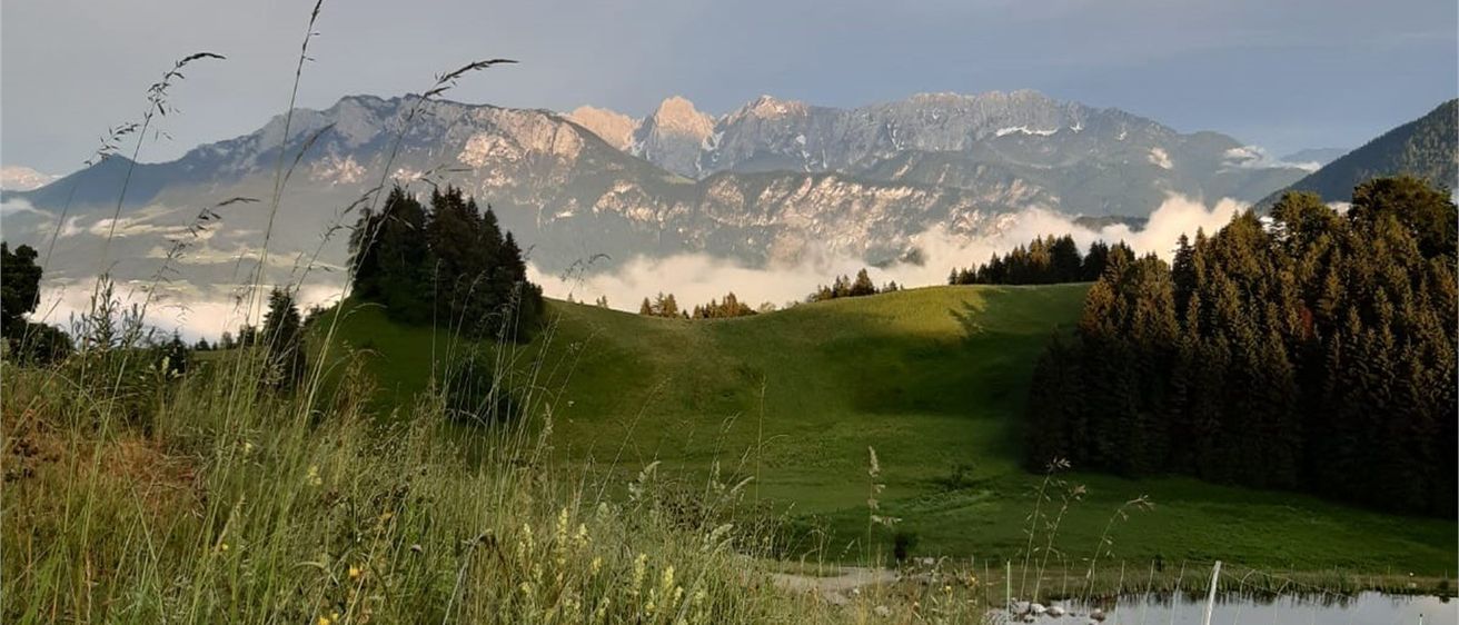 Ein Blick auf ein saftig grünes Tal mit Bergen im Hintergrund. Der Himmel ist bewölkt.
