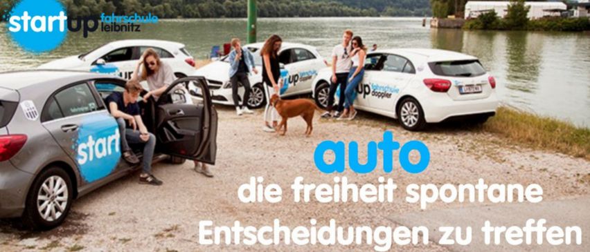 Ein Werbeplakat für einen Auto-Intensivkurs mit dem Text 'Fahrschule' und einer Person, die in einem Auto sitzt, einem Hund, der geht, und Leuten, die um Autos herumstehen.