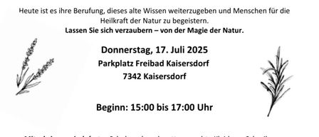 Erleben Sie bei einem gemütlichen Spaziergang unsere heimischen Heilkräuter. Lernen Sie mehr über ihre Eigenschaften und mögliche Verwechslungsgefahren, über ihre Wirkstoffe, Anwendungen und die alten Mythen, die sich um sie ranken.