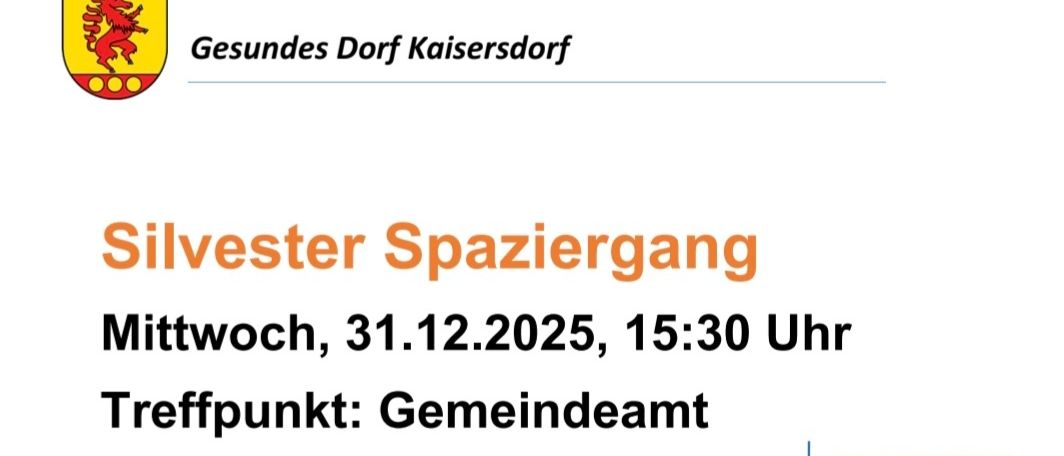 Plakat für einen Silvesterspaziergang am 31.12.2025, 15:30 Uhr. Treffpunkt Gemeindeamt. Geführt von Susanne Pogats. Gesundes Essen, Radfahren und eine Fackelwanderung sind zu sehen.