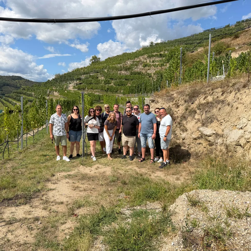 Eine Gruppe von Menschen steht in einem Weinberg und lächelt für ein Foto. Sie sind von Reihen von Weinreben umgeben.