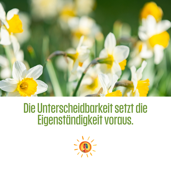 Das Bild zeigt eine Gruppe weißer und gelber Narzissen mit einem gelben Glühbirnensymbol und einem Zitat auf Deutsch.