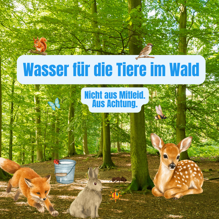 Eine Illustration eines Waldes mit verschiedenen Tieren und einem Eimer, mit dem Text 'Wasser für die Tiere im Wald'.