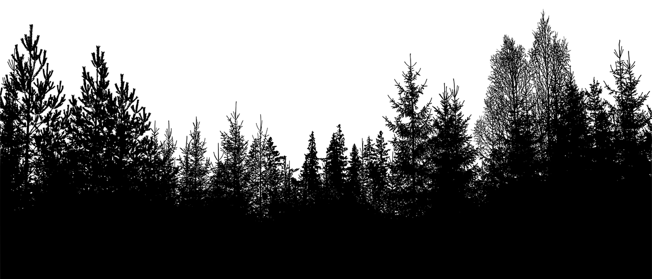 Bild enthält, Tree, Fir, Conifer, Pine, Vegetation, Spruce
