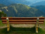 Bild enthält, Bench, Furniture, Grass, Plant, Park Bench, Outdoors, Nature, Park