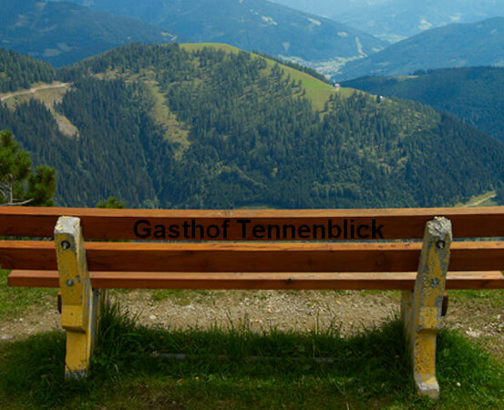 Bild enthält, Bench, Furniture, Grass, Plant, Park Bench, Outdoors, Nature, Park