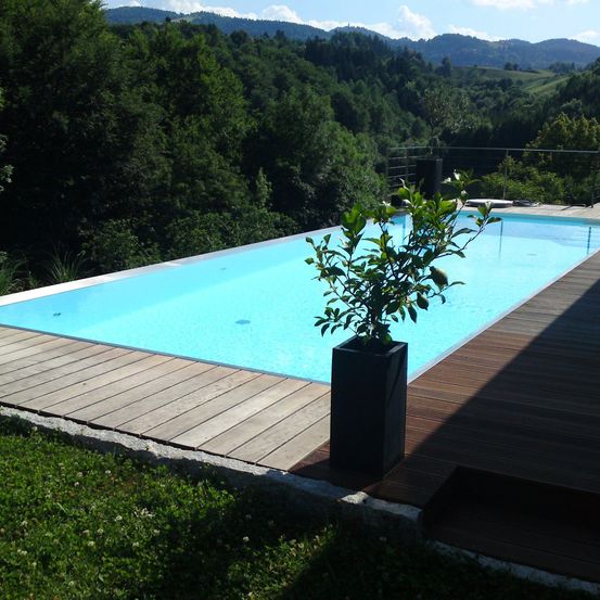 Bild enthält, Pool, Water, Swimming Pool, Outdoors, Plant, Aerial View, Backyard, Nature, Yard, Scenery