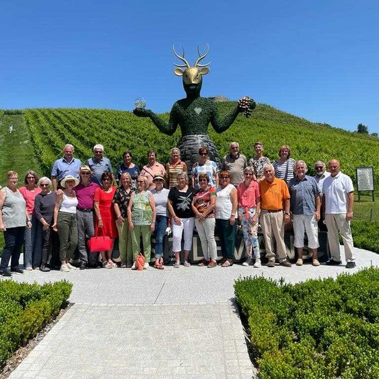 Bild enthält, Nature, Outdoors, Countryside, Rural, Farm, Vineyard, Person, Alcohol, Beverage, Wine Tour