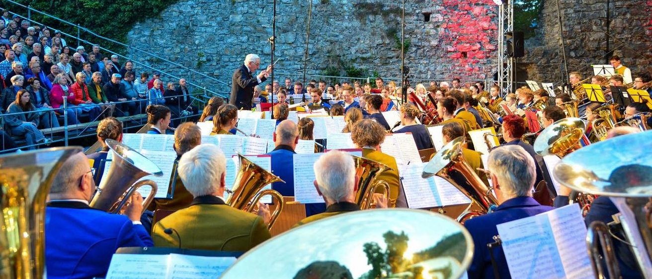 Bild enthält, People, Person, Concert, Horn, Musical Instrument, Tuba, Adult, Male, Man, Group Performance