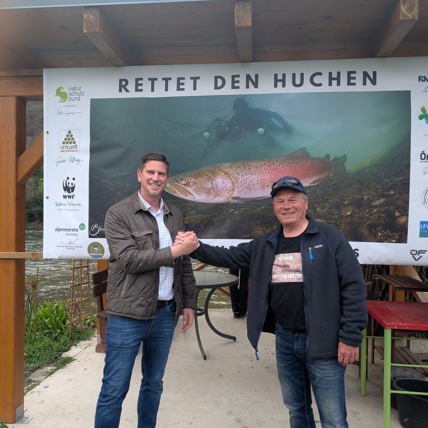 Bild enthält, Pants, Wood, Plywood, Jeans, Adult, Male, Man, Person, Fish, Coat