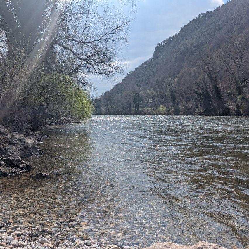 Bild enthält, Nature, Outdoors, Wilderness, Creek, Water, Gravel, Road, Tree, Scenery, Fir