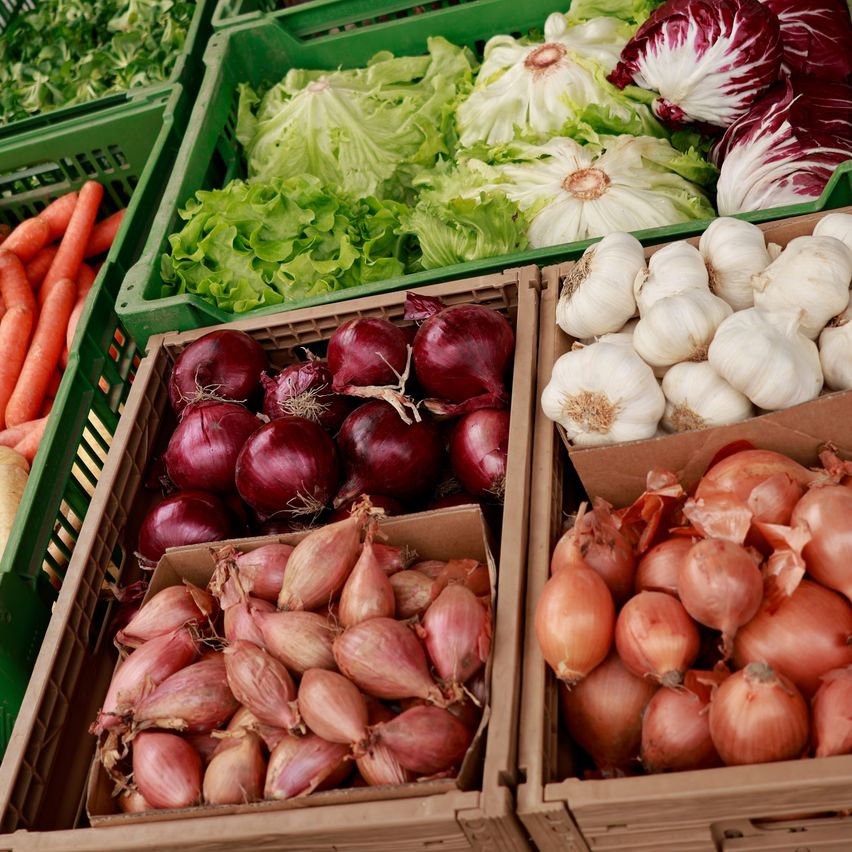 Verschiedene Gemüsesorten wie rote Zwiebeln, Knoblauch und Karotten werden in einem Markt präsentiert. Rote und grüne Salate sind ebenfalls sichtbar.