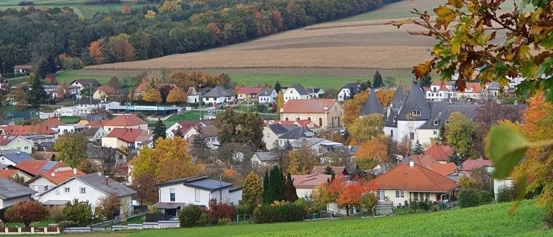 309506052_206633885050913_1461957156604763375_n