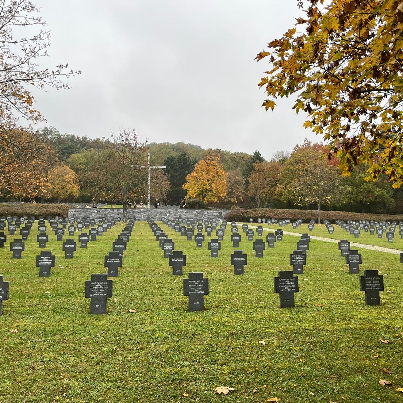 Ein Friedhof mit vielen grauen Kreuzen, einem großen weißen Kreuz und Bäumen mit Herbstlaub.