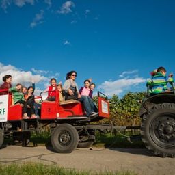 Bild enthält, Wheel, Person, Adult, Female, Woman, People, Vehicle, Bulldozer, Shoe, Nature