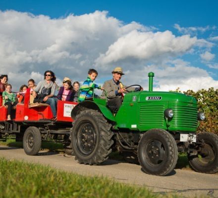 Bild enthält, Adult, Female, Person, Woman, Tractor, Vehicle, Wheel, Boy, Child, Male