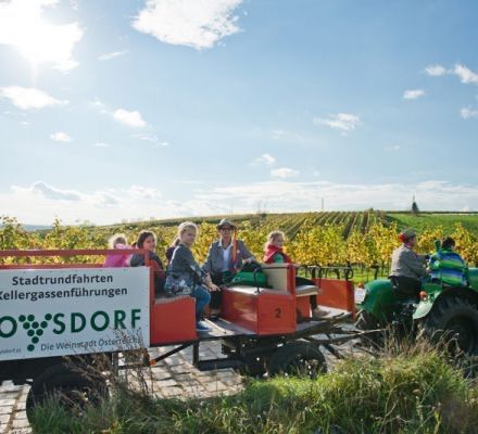 Bild enthält, Nature, Outdoors, Countryside, Rural, Farm, Boy, Child, Male, Person, Vineyard