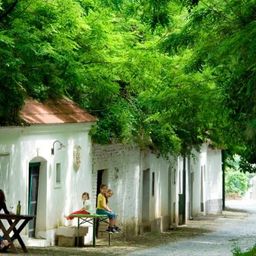 Bild enthält, Hotel, Resort, Villa, Person, City, Street, Vegetation, Outdoors, Child, Girl