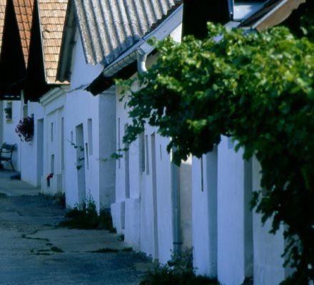 Bild enthält, City, Street, Urban, Potted Plant, Neighborhood, Nature, Outdoors, Yard, Housing, Alley
