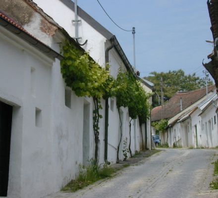 Bild enthält, City, Road, Street, Urban, Alley, Neighborhood, Building, Housing, House, Vine