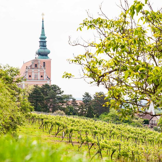 Bild enthält, Building, Spire, Tower, Nature, Outdoors, Countryside, Rural