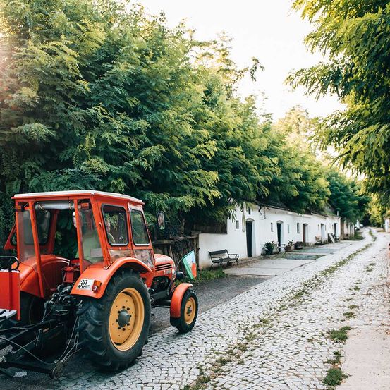 Bild enthält, City, Road, Street, Urban, Wheel, Alley, Bench, Outdoors, Nature, Housing