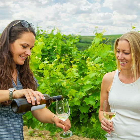 Bild enthält, Nature, Outdoors, Countryside, Rural, Farm, Vineyard, Alcohol, Beverage, Person, Woman