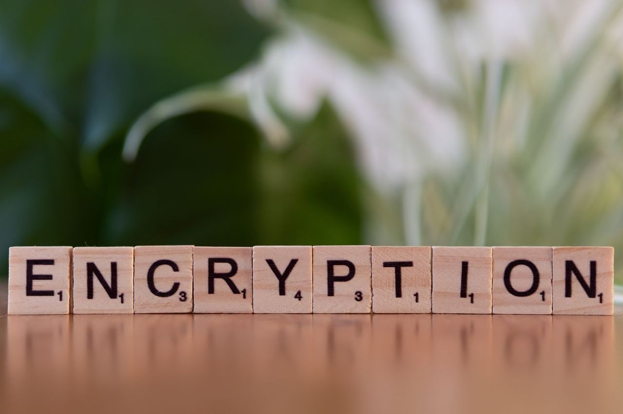 Wooden Scrabble tiles spelling out 'CRYPTO' on a wooden table, with a green plant in the background.