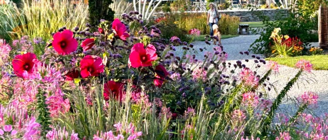 v1_migrated_image_8017539