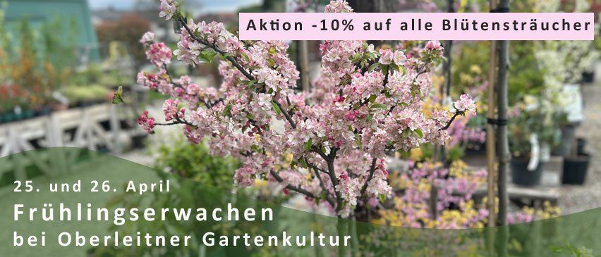 Frhlingserwachen-2025