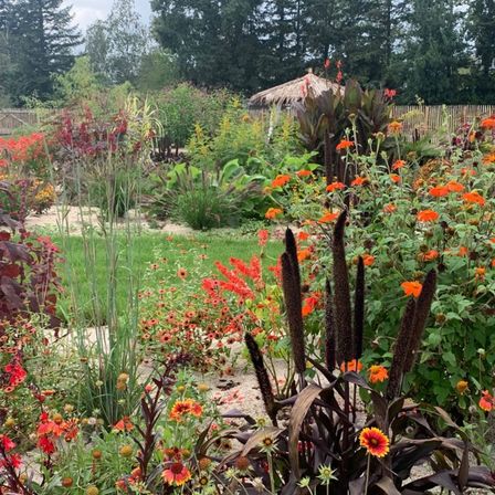 Bild enthält, Garden, Nature, Herbal, Vegetation, Potted Plant, Backyard, Grass, Park, Planter, Tree