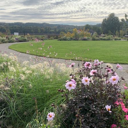 Bild enthält, Grass, Park, Daisy, Geranium, Herbal, Petal, Vegetation, Landscape, Anemone, Grassland