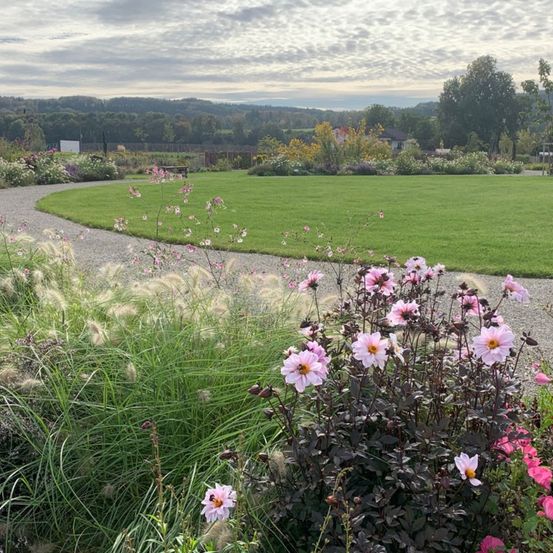 Bild enthält, Grass, Park, Daisy, Geranium, Herbal, Petal, Vegetation, Landscape, Anemone, Grassland