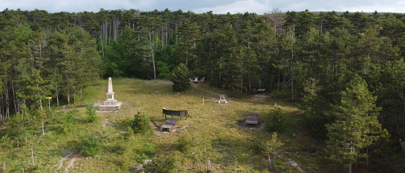 Bild enthält, Fir, Tree, Outdoors, Wilderness, Vegetation, Grove, Land, Woodland, Scenery, Graveyard