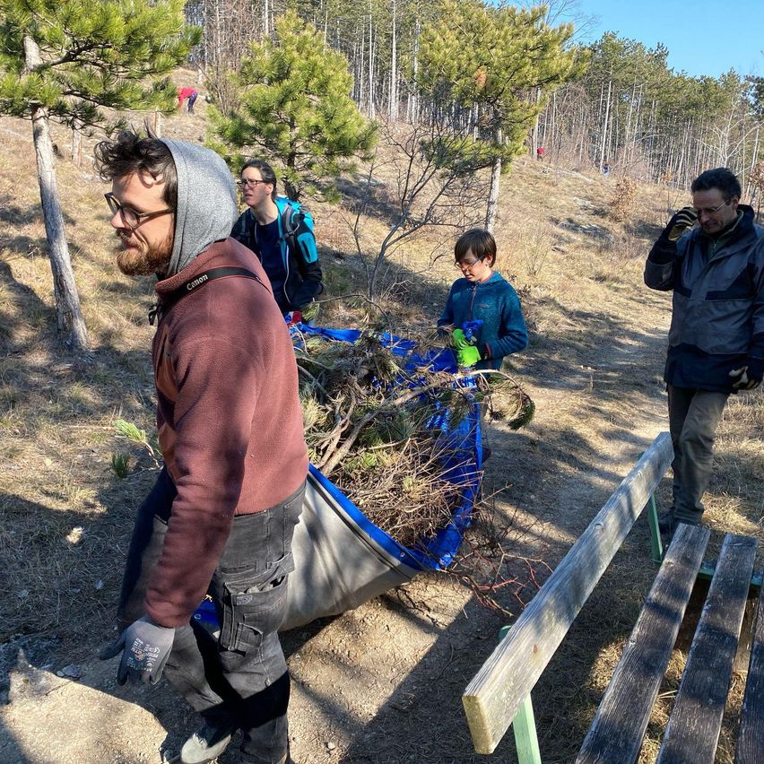 Bild enthält, Soil, Vegetation, Tree, Woodland, Coat, Jacket, Grass, Park, Hiking, Bench
