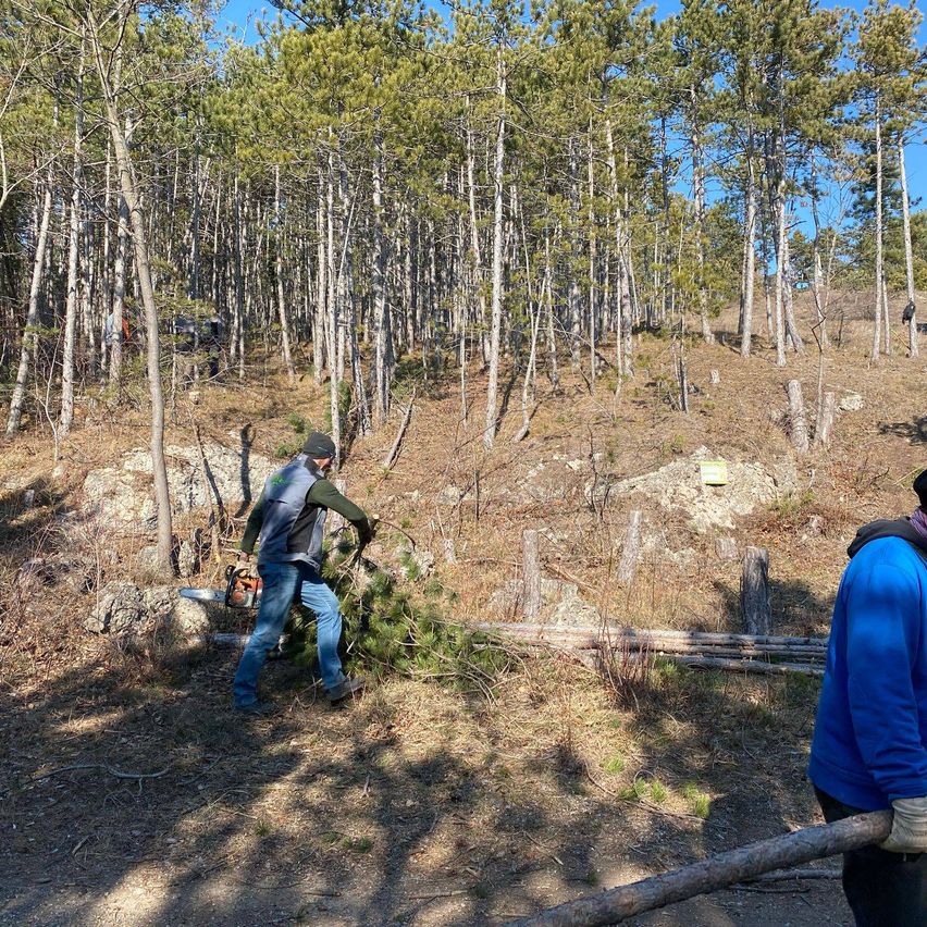Bild enthält, Vegetation, Bag, Hiking, Person, Wilderness, Tree, Woodland, Adult, Male, Man