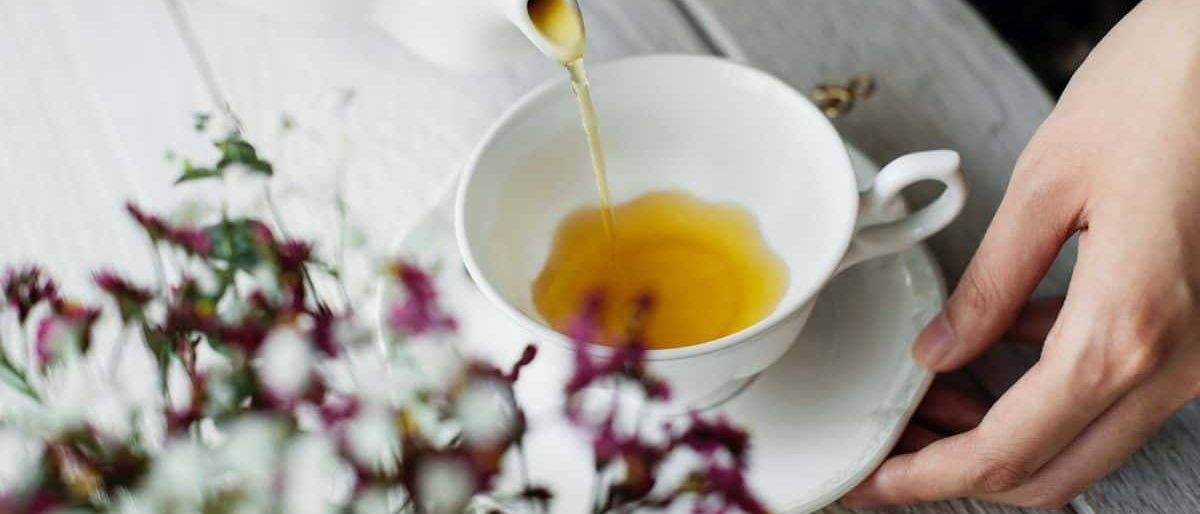 v1_migrated_image_18300113