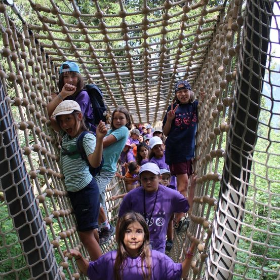 Eine Gruppe von Kindern in lila Shirts klettert eine Seilleiter im Wald. Einige tragen Mützen, und ein Mädchen macht ein Friedenszeichen.