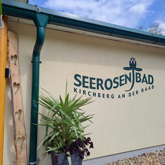 Bild enthält, Plant, Potted Plant, Building, Housing, House, Roof