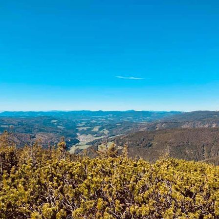 Bild enthält, Land, Nature, Outdoors, Tree, Vegetation, Woodland, Sky, Aerial View, Grove, Horizon