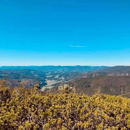 Bild enthält, Land, Nature, Outdoors, Plant, Tree, Vegetation, Woodland, Aerial View, Sky