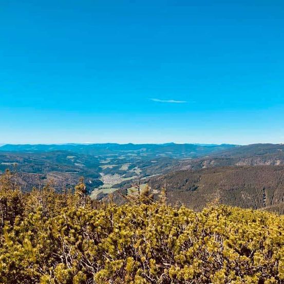 Bild enthält, Land, Nature, Outdoors, Plant, Tree, Vegetation, Woodland, Aerial View, Sky