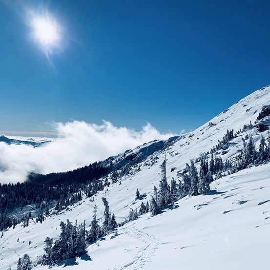 Bild enthält, Slope, Nature, Outdoors, Mountain, Mountain Range, Peak, Tree, Scenery, Fir, Sky