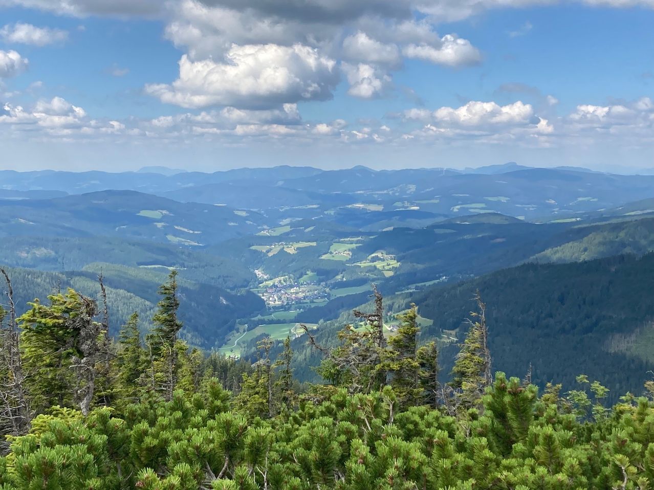 Bergpanorama mit Latschenkiefern und einem Dorf im Tal in der Steiermark