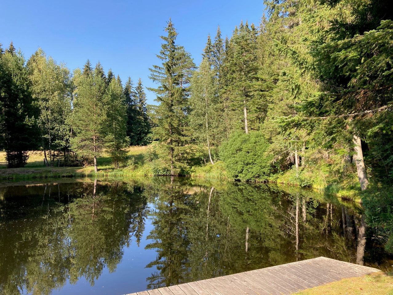 Ein ruhiger Teich, umgeben von üppigem Grün und hohen Bäumen, die den blauen Himmel darüber reflektieren.