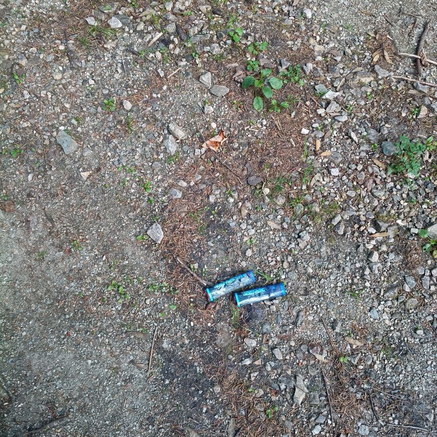 Two blue and black batteries are on the ground, surrounded by rocks and small plants.